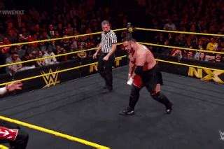 The best gifs are on giphy. Samoa Joe | Wiki | Wrestling Amino