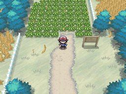 Pokemon black white 2friends rom is a nintendo ds emulator game that you can download to havev fun with your friends. Pokemon White Deluxe Download, Informations & Media ...