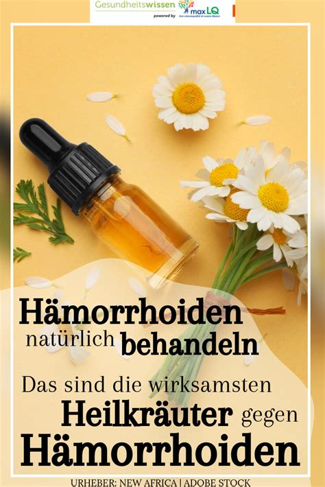 Innere hämorrhoiden sind in der regel schmerzlos, auch wenn sie ab und an bluten. Pin auf Gesund im Alter