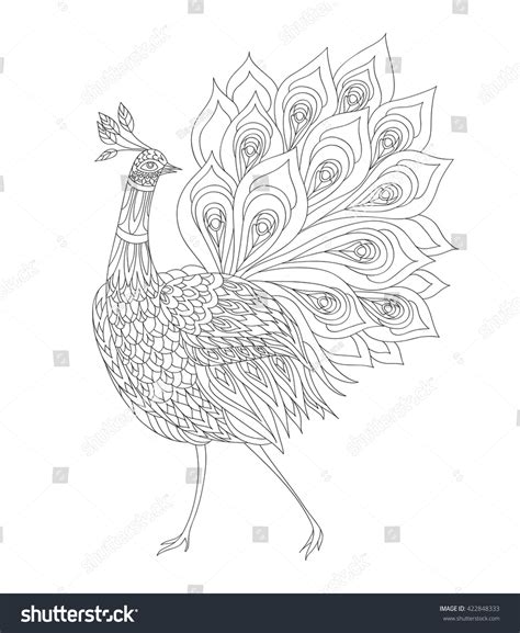 So when i went looking for another free adult coloring page to offer, i decided i wanted a peacock coloring page (mostly, so i could color it myself). Peacock Ornamental Hand Drawn Adult Coloring Stock Vector ...