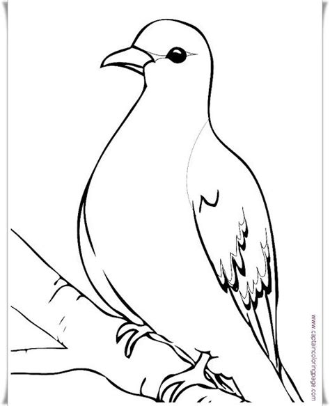 See the presented collection for dove coloring. Bird Coloring Page Printable - Coloring Page | Bird ...