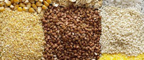 6 лепестков диета суть диеты Диета «6 лепестков»: суть, фото и видео результатов, блюда рациона и Диета «6 лепестков»: суть, фото и видео результатов, блюда рациона и 6 лепестков диета суть диеты