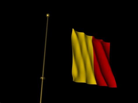 Drapeau belge , deutsch : Belgien Flagge - BienenFisch Design