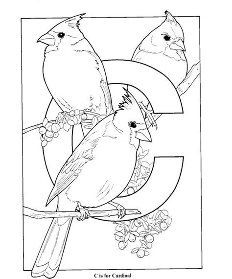 Signup to get the inside scoop from our monthly newsletters. Cardinal Coloring Pages Printable at GetColorings.com ...