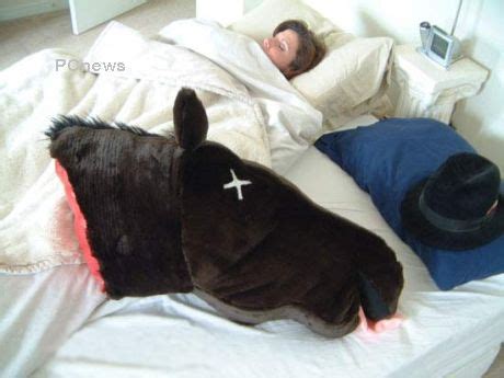 What kind of sicko would do this to a defenseless inanimate object? Horse head pillow: A horse is a horse, of course, of ...