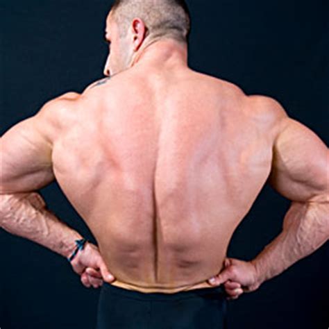 So while maxing out may be difficult, high reps and teaching your back how to lift loads longer without wearing out will help you build more muscular endurance…which in turn will reduce those pesky. How to Increase Volume for Weak or Underdeveloped Muscles