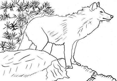 Wolf in the forrest color page. Wolf howling moon coloring pages download and print for free