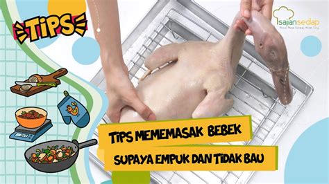 Posting pada peternakan ditag agar bulu bebek cepat tumbuh, ampas tahu untuk pakan bebek petelur, apakah ampas tahu baik untuk pakan bebek, bebek tidak bisa berdiri, bebek yang paling banyak bertelur, bungkil kelapa, cara membuat bebek bertelur terus, cara membuat tempat bertelur itik, cara memelihara dod bebek petelur, cara merawat kandang. Cara Memasak Bebek Empuk dan Tidak Bau ala Chef Hotel, Wajib Tahu! - YouTube