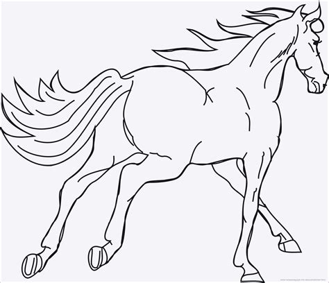 Unsere pferde zum ausmalen dürfen gerne individuell gestaltet werden. 20 Ideen Für Pferde Ausmalbilder Horseland - Beste ...