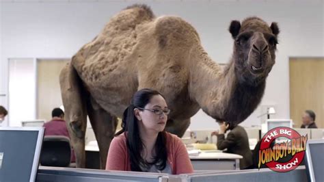 The hump day commercial video on youtube has accrued more than 15 million page views since the geico unit of berkshire hathaway inc. Pin on Funny Commercials/Skits