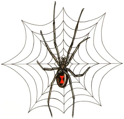 Check spelling or type a new query. Spider Web Design - ClipArt Best