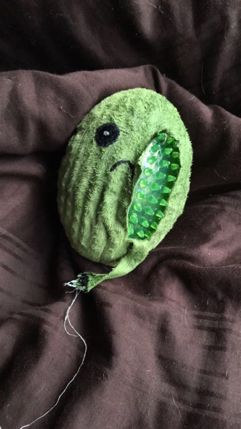 My dog destroyed her toy cactus, and there was another sad cactus inside. Dog Toy With Sad Cactus Inside - ToyWalls