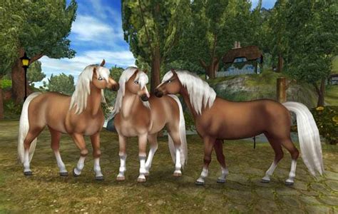 Are there any new star coin codes? Star Stable Online - Welches Pferd passt zu dir?