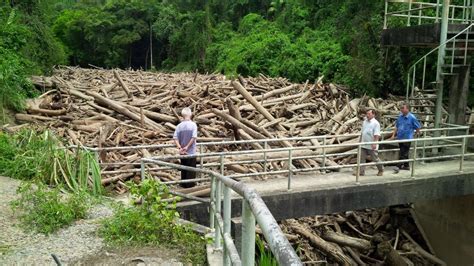 Video mengenai proses rawatan air yang dilakukan di jabatan air bahagian ranau, sabah. Longokkan Kayu Kayan di Empangan Intake Air Sungai Liwogu ...