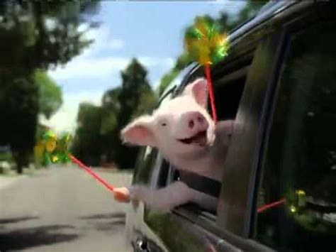 Nationwide, liberty mutual with insurify. geico insurance commercial piggy) - YouTube