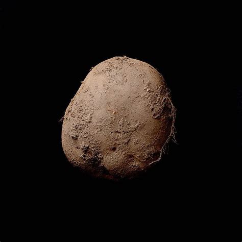 Dlaczego zdjęcie ziemniaka sprzedano za 1 mln euro ...