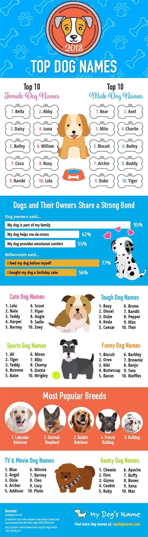 500 popular male dog names what do you look for when choosing a dog name? Farewell, Fido. Hello, Trendy Dog Names! | Daily Infographic