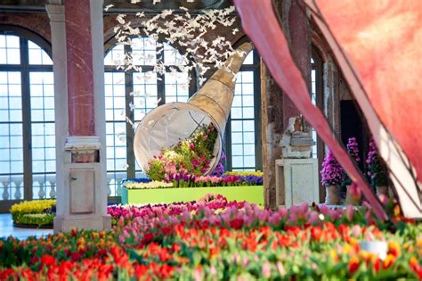 Gartenzubehör, pflanzen & gartengeräte in dresden kaufen. Dresdner Frühling im Palais 2016 - Palais im Großen Garten ...