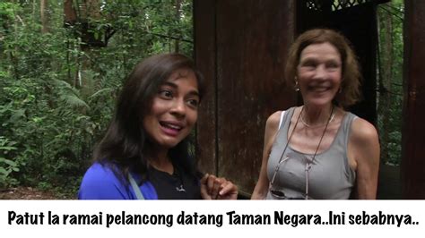 Maybe you would like to learn more about one of these? TAMAN NEGARA JERANTUT PAHANG - YouTube