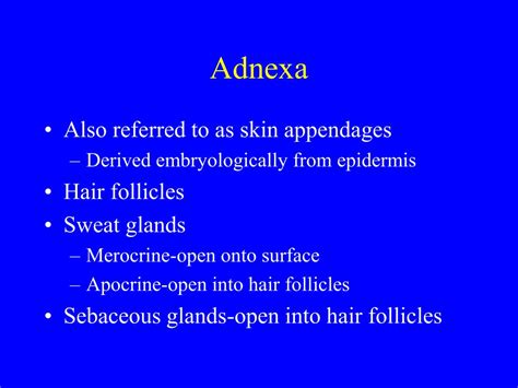 PPT - Integumentary System: Skin and adnexa PowerPoint ...