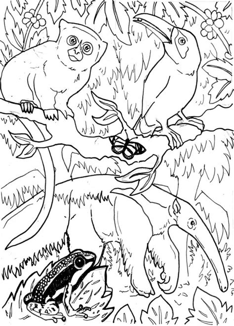 Brighten your child's day with this cute coloring sheet. Exoctic Animals In The Forest Coloring Page : Coloring Sky ...