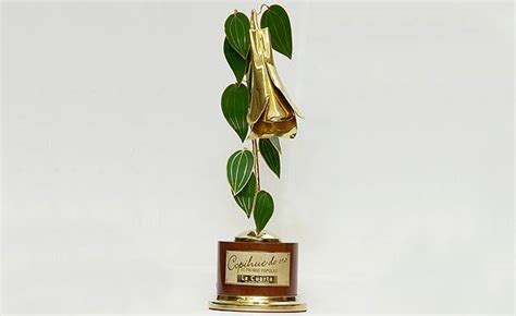 All posts tagged copihue de oro. Premios Copihue de Oro 2019 ya definieron su casa ...