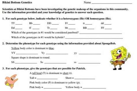 Find the training resources you need for all your activities. Spongebob Genetics Answer Key / Https Cpb Us E1 Wpmucdn Com Cobblearning Net Dist 8 2505 Files ...