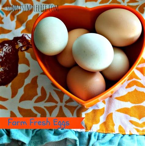 Hard boiled egg microwave microwave eggs microwave recipes college cooking college meals how to make eggs poached eggs scrambled eggs. Sunny Simple Life: How to Cook the Perfect Hard Boiled Eggs - Kitchen Quick Tip