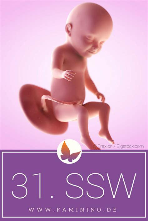 Die schwangerschaft ist ein wunder der natur, das wachstum des babys sehr spannend. 43 HQ Pictures Schwangerschaft Wann Wächst Der Bauch : Pin ...