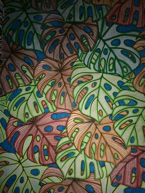 Kleuren is gezond en leuk! kleuren voor volwassenen | Kleuren