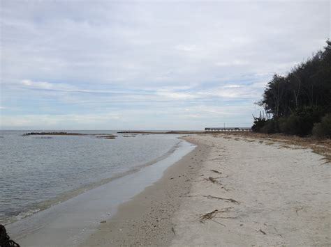 Help us verify the data and let us know if you see any information that needs to be. Mitchelville Beach, Hilton Head Island SC | Hilton head ...