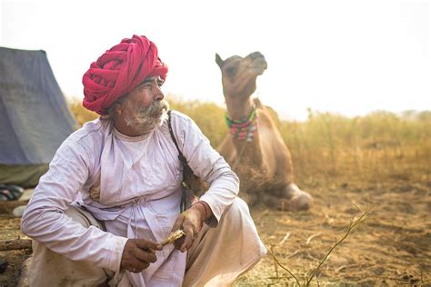 Pushkar fair is an annual event that takes place during the months of october and november. marwari Camel Trader at sunset in the Pushkar Camel Fair ...