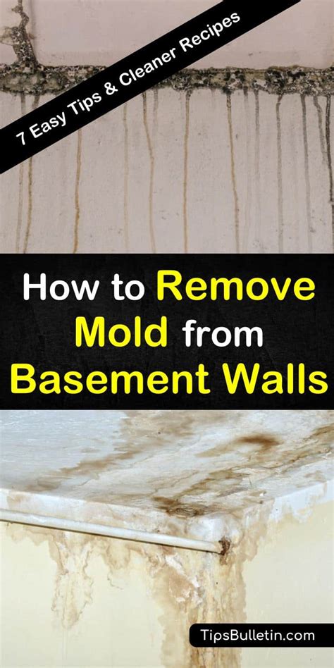 Fortunately, water seeping through your basement walls isn't always a cause for alarm. How to Remove Mold from Basement Walls - 7 Easy Tips and ...