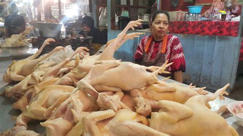 Anda mencari informasi harga ayam potong hari ini ? Harga Ayam Broiler Normal, Konsumen Minta Tak Naik, Langka ...