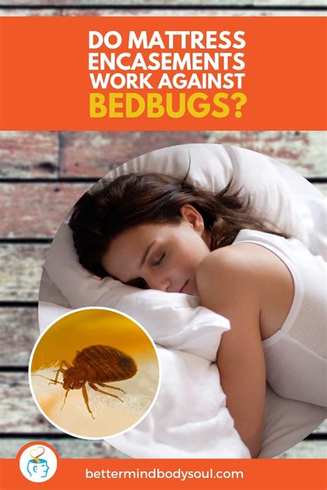 Cleanrest mattress encasements, covers, and protectors bring hotel level protection to your bed at home. Do Mattress Encasements Work Against Bedbugs?