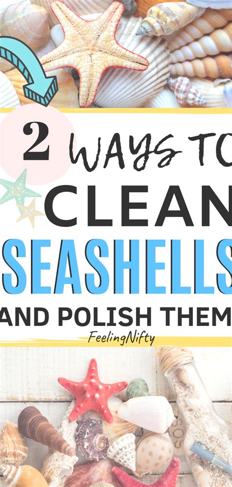 Maybe you would like to learn more about one of these? Learn how to clean sea shells without bleach and with ...