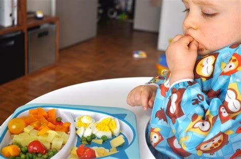 Repas types pour l'alimentation du bébé à 8 mois petit déjeuner : La "finger food" pour bébé, nous avons essayé et adopté ...