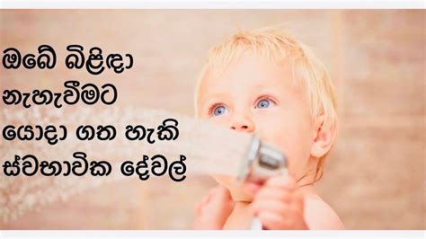 If the baby you have found is 4″ long or longer, has its eyes opened and isn't lethargic, you may give it a little applesauce in a shallow lid. Natural things you can use to bathe your baby | ඔබේ බිළිඳා ...