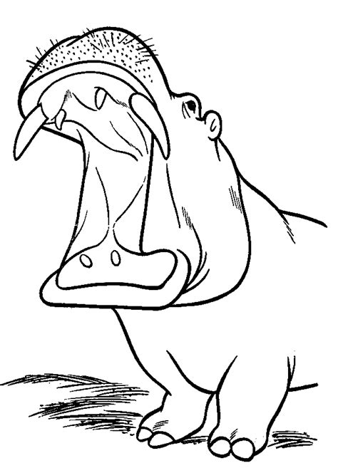 We did not find results for: Hippo Coloring Pages - Coloring Home