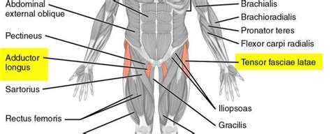 Hold this position for 30 seconds. Real Root Causes of Hip Pain While Running - Be My Healer