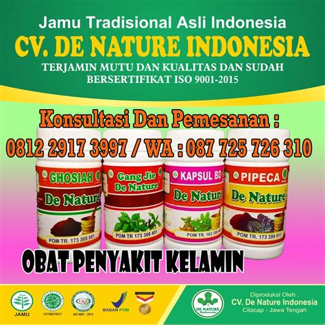 9 contoh kesimpulan makalah/karya ilmiah/skripsi/penelitian lengkap. Bentuk Kapsul Obat Sipilis Yang Ampuh Saat Ini, Paling ...