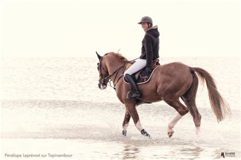 Plus de 1000 références de vêtements d'équitation et d'équipement pour le cavalier et le cheval. Pénélope Leprévost sur Topinambour | Pénélope leprevost ...