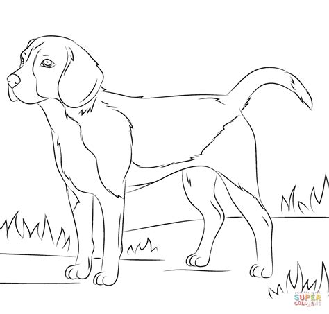 202x261 beagle coloring page free beagle online coloring coloring. Beagle dog coloring page | Free Printable Coloring Pages