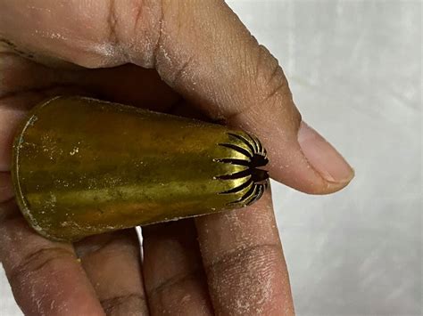 Guna star nozle untuk corak belimbing yang cantik. Sedapnya Samperit Matahari Ni, Mudah Nak Sedia & Confirm ...