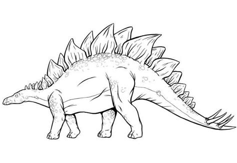 Veja o que dino dan (danbakura) descobriu no pinterest, a maior coleção de ideias do mundo. Stegosaurus Dinosaur Coloring Page | Dinosaur coloring pages, Dinosaur coloring, Animal coloring ...