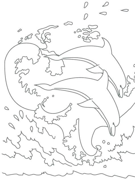 And you can freely use images for your personal blog! Dolphin Tale Coloring Pages at GetColorings.com | Free ...