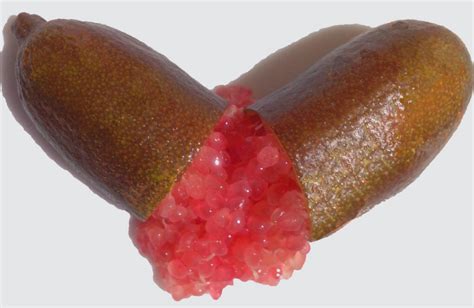 There are a number of finger lime varieties already on australian market with different naming conventions which often causes confusion. Byron sunrise order being taken through winter ...