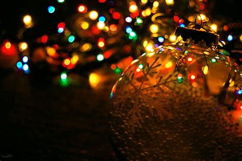 Free christmas ppt backgrounds catering to different facets of holiday decorations are found on fppt. Christmas Lights: The Ultimate Way to Decorate Your Home