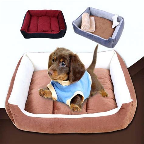 We did not find results for: Bedroom: Large Dog Bed Cheap with Inexpensive Dog Beds ...