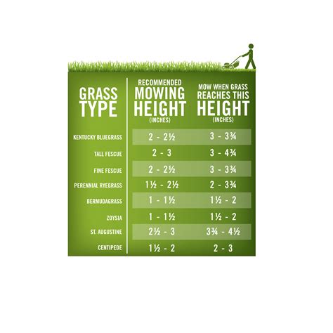A newly laid lawn should not be allowed to dry out over the first couple of weeks. Easy guide to ideal lawn mowing heights! #Lawncare #Landscaping | Mowing, Landscaping tips ...